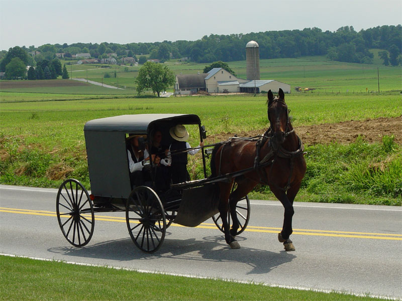 Les Amish