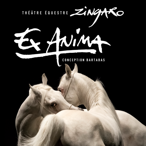 Ex Anima
