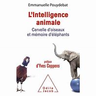 intelligence animale 2