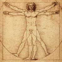 Léonard de Vinci, du scalpel au pinceau