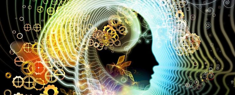 La fabrique de nos opinions : info ou infox, quelle différence pour le cerveau ?