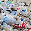  La pollution des mers par les plastiques : quels constats ? quelles solutions ?